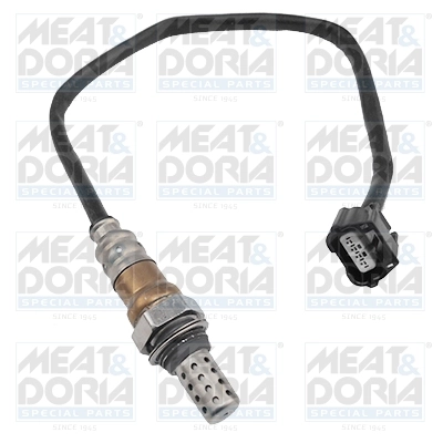 Oxygen Sensor